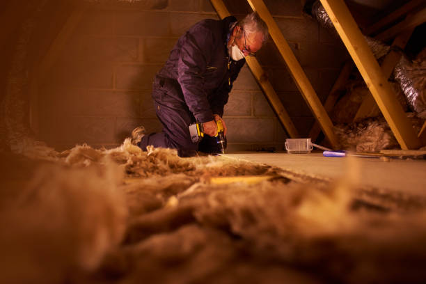 Types of Insulation We Offer in Blackville, SC